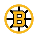 bostonbruins