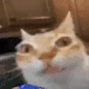 ermChips