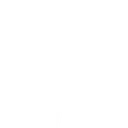 CLONE_X