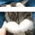 catStressed