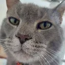 DispleasedBen