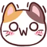 owocat