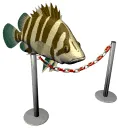 JasperElingsFish
