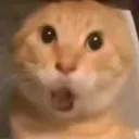 Oooooo Oooooo