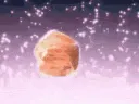 nikumeat nikumeat
