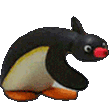 Noot