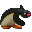 Noot