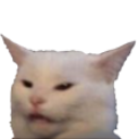 catstare custom emote | Hamara Server