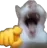 catlaugh catlaugh