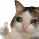 CryThumbsUp