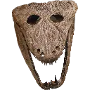 fossil_smile
