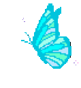 BlueButterfly