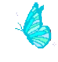BlueButterfly