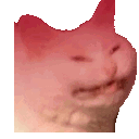 cattorage