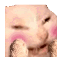 cattomg