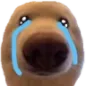 dawg_crytears