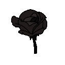 blackflower