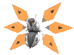 ironmoth