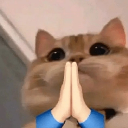 cat_sorry