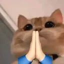 :cat_sorry: