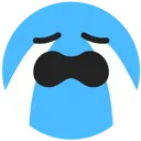 cry