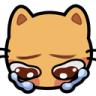 :05_catcry: