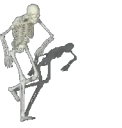 BONES BONES