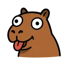 capybara