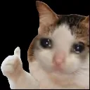 cry