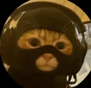 catninja