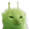 glorp