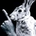 bunnyhush