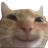 catSmile