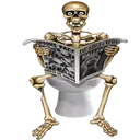 83538skullshit