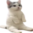 catSit