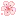 8_flowers