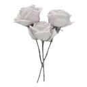 1_flowers