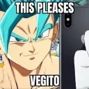 vegitoapproves