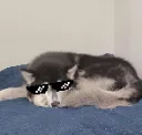 SkyeCool