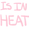 T_is_in_heat