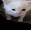 explod