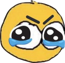 A yellow circular face with an angry furrowed brow and large, watery, pleading eyes shedding blue tears.