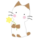 mellowtune_flower_DNS