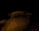 freddy_backshots