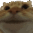 :catgatdau: