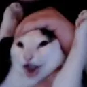 wahoo