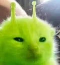 glorp