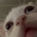 wha