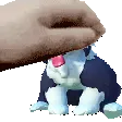 MaxPet