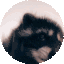 pedro